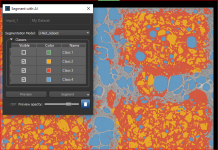 Segmentation preview