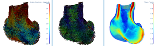 Mappings of a proximal femur