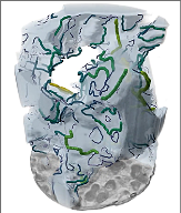 Fuel cell three-phase boundary graph