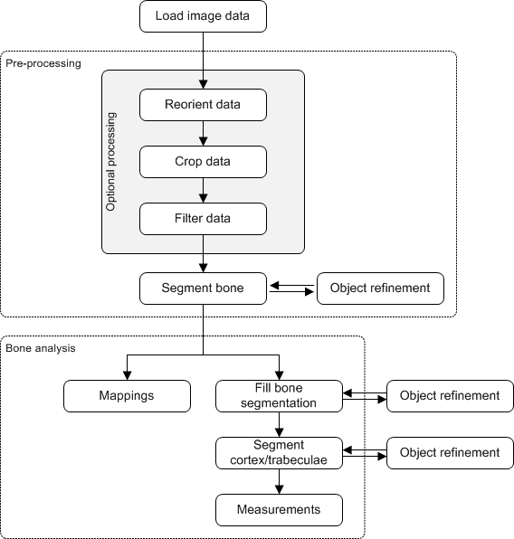 Bone Analysis workflow