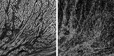 Image moments filter