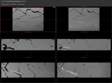 Synchronized scene views