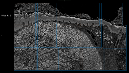 Image Stitcher workspace