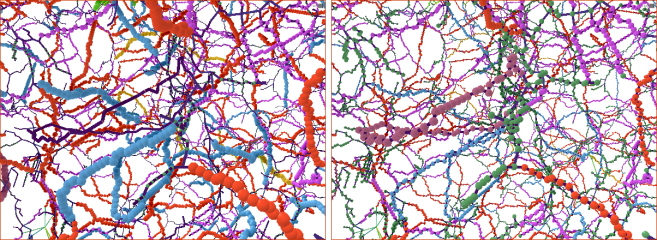 Constant vertex radius