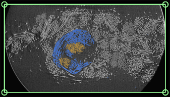 Sparesely labeled frame