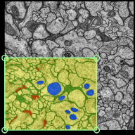 Fully segmented frame