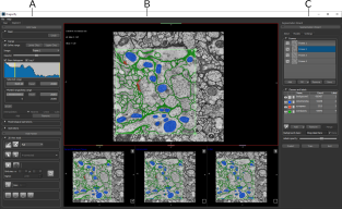 Segmentation Wizard window