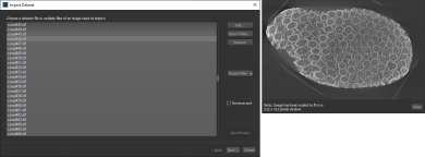 Standard image preview