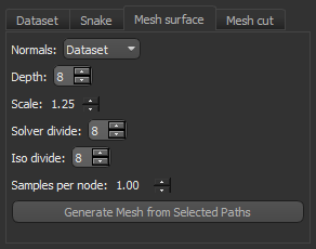 Mesh surface settings