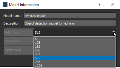 Model information dialog