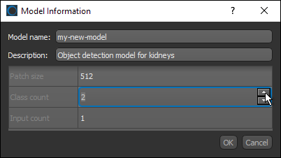 Model Information dialog