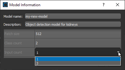 Model Information dialog