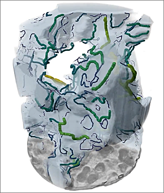 Fuel cell three-phase boundary graph