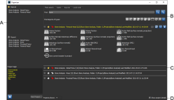 Organizer dialog